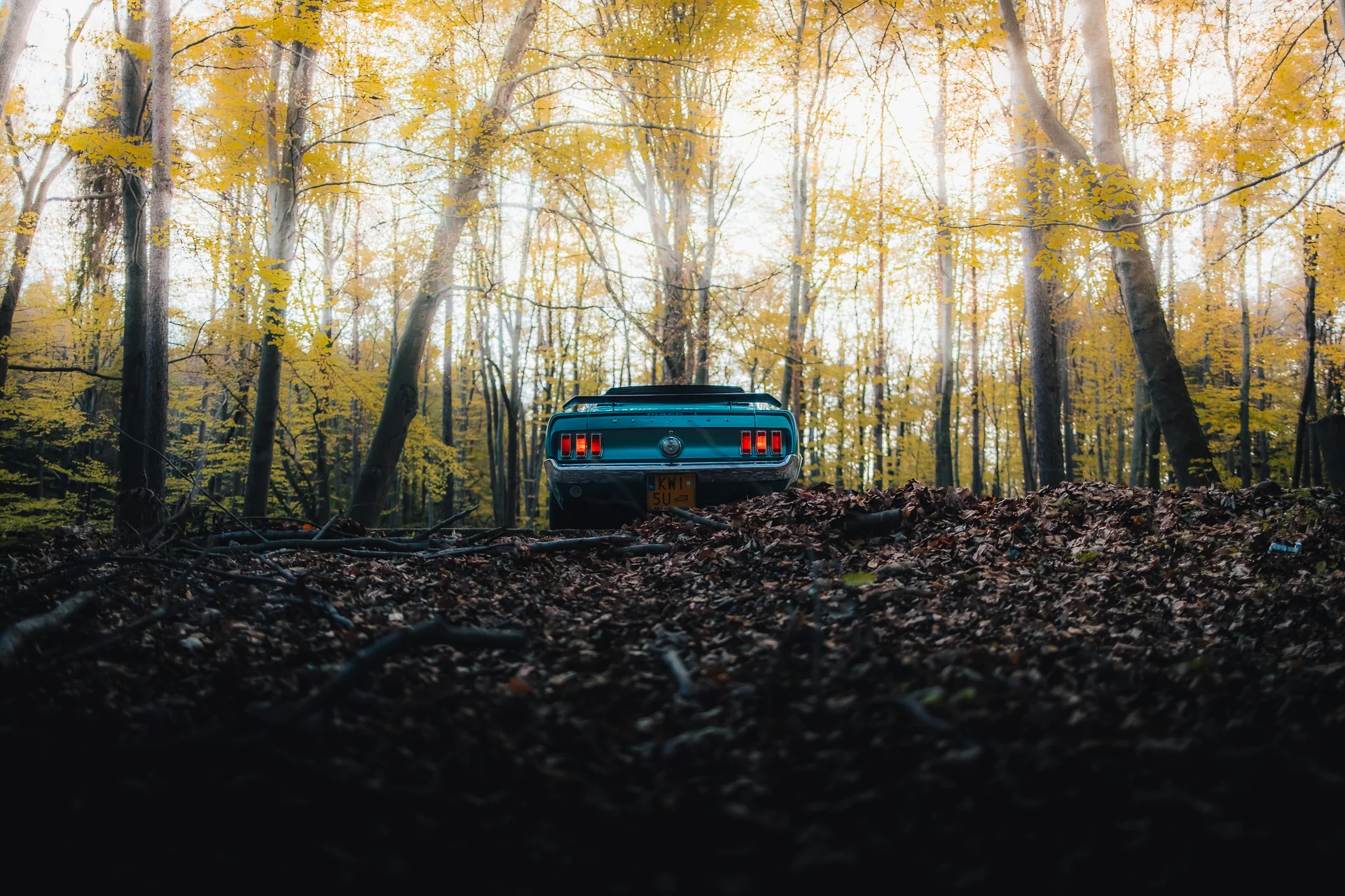 Dwa klasyczne Fordy Mustang podczas sesji zdjęciowej